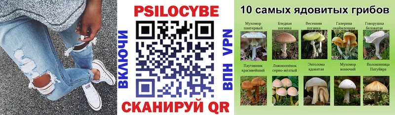 Галлюциногенные грибы прущие грибы  Вяземский 